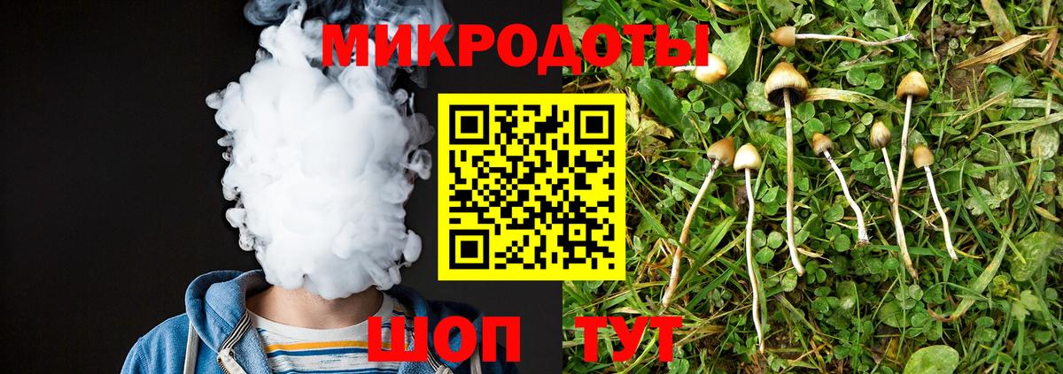 Псилоцибиновые грибы Psilocybe Пермь