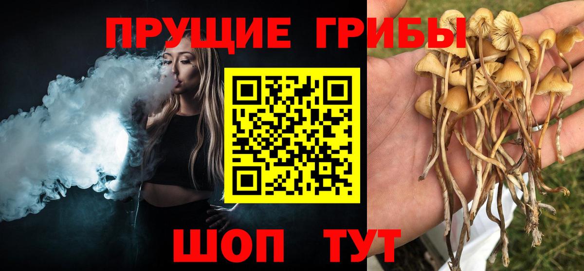 Галлюциногенные грибы GOLDEN TEACHER  Вход с VPN  Пермь 